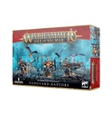 WH AoS: Stormcast Eternals - Vanguard-Raptors