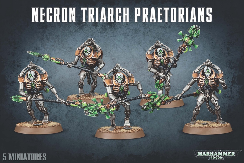 WH 40K: Necrons - Triarch Praetorians