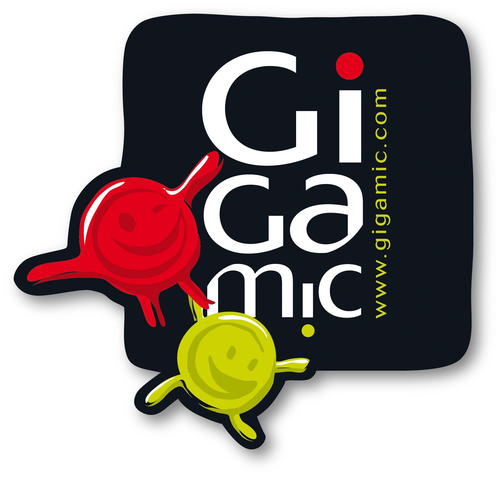 Brand: Gigamic