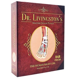 [GOT3106] Jigsaw Puzzle: Dr. Livingston's Anatomy - The Right Leg (848 Pieces)