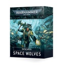 WH 40K: Space Wolves - Data Cards