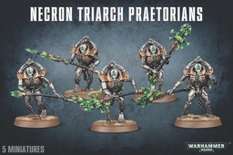 [GW49-07] WH 40K: Necrons - Triarch Praetorians