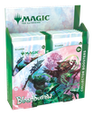 MTG: Bloomburrow - Collector Booster