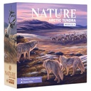 Nature - Module 4: Arctic Tundra